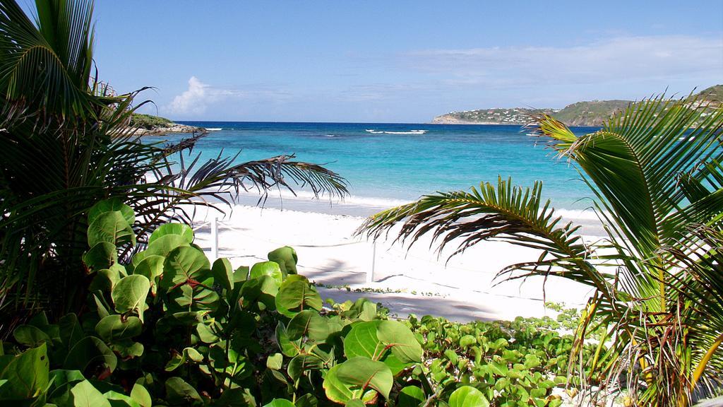 Tropical Hotel St Barth Gustavia Eksteriør bilde